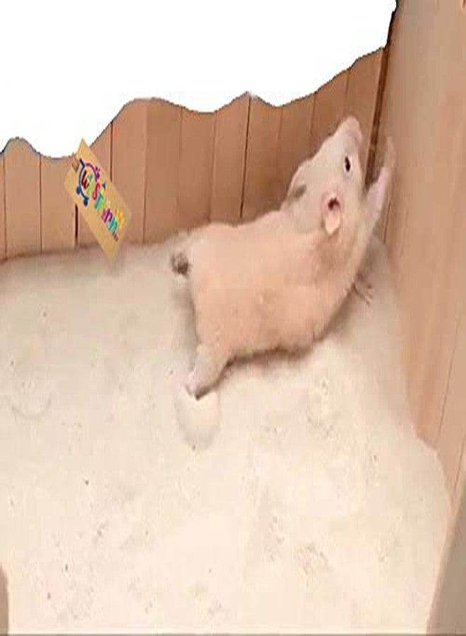 Western Era Sand Bath for Hamster, Gerbill (200grm) (Strawberry) - Image 1